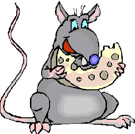 Fancy World Rat Day. April calendar holiday