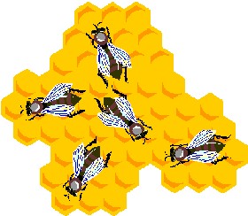 Bees and honeycomb, National Honey Bee Awareness Day