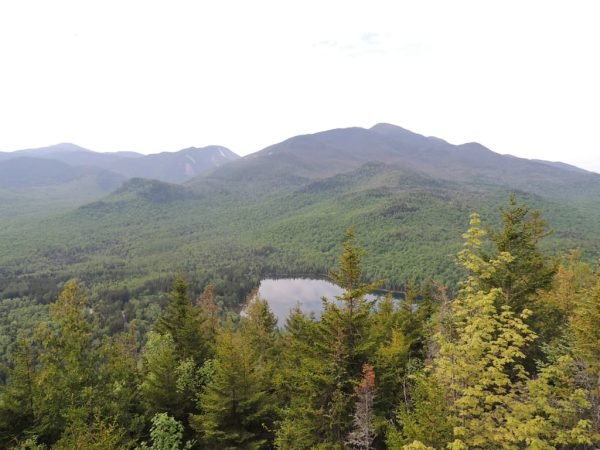 about holiday insights