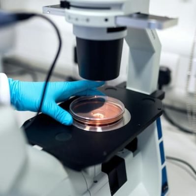 When is World Science Day for Peace and Development? November 10 holiday. National Inventors Day. February 11 holiday